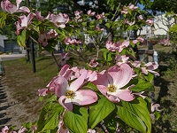 20200501_153232.jpg