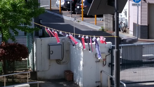 koinobori (1).jpg