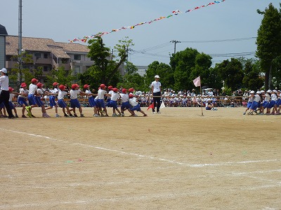 s-P1120749.jpg