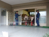 P1470218.jpg