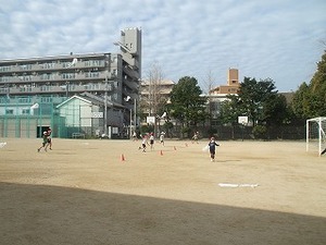 DSCF0771.jpg