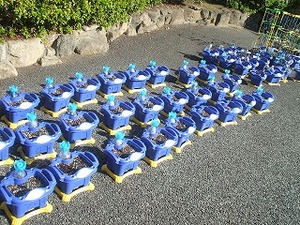 DSCF0808.jpg