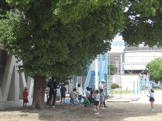 800101-000006_R.JPG