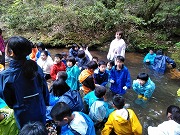 05308.jpg