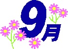 9gatu-2.jpg