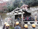 CIMG1011.jpg