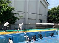 IMG_5549_R.JPG