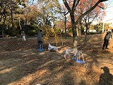 IMG_1701.jpg