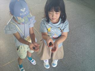 DSCF0368_R.JPG