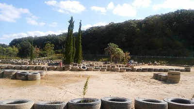 IMG_20201015_100833.jpg