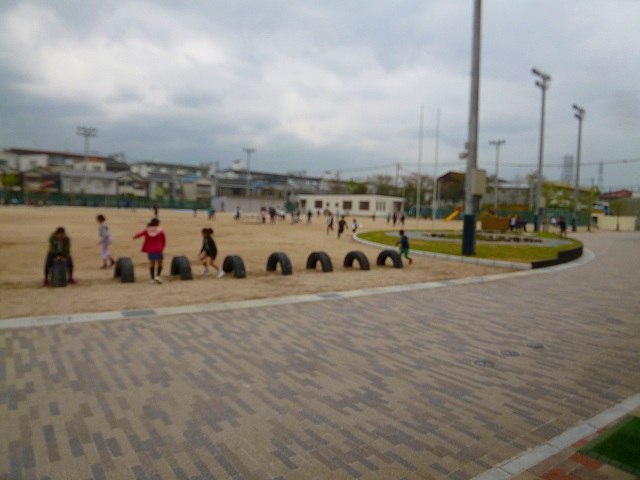 P1050768.jpg