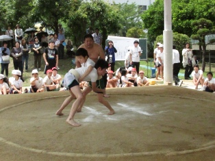 sumo084.JPG