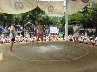 sumo096.JPG