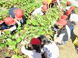 s-IMG_0278.jpg
