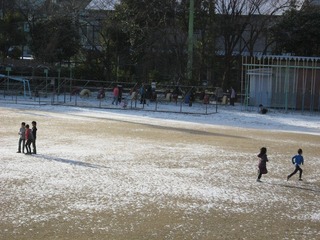 IMG_0632.jpg