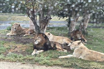 IMG_4189_R.jpg