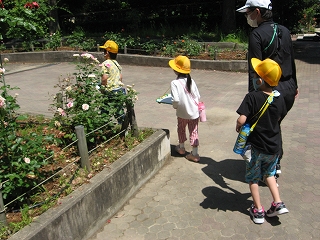 IMG_1135.jpg