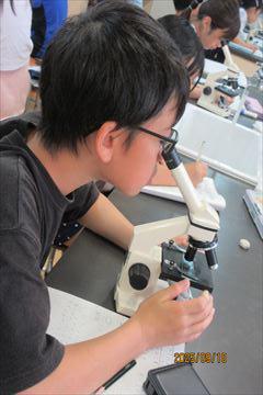 IMG_2138_R.JPG