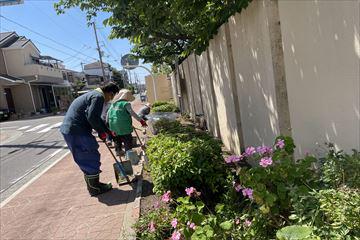 IMG_3852_R.jpg