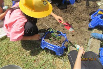 IMG_4100_R.JPG