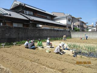 IMG_4169_R.JPG