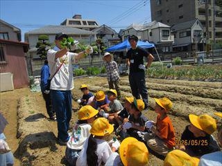 IMG_4171_R.JPG