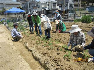 IMG_4179_R.JPG
