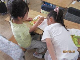 IMG_4198_R.JPG