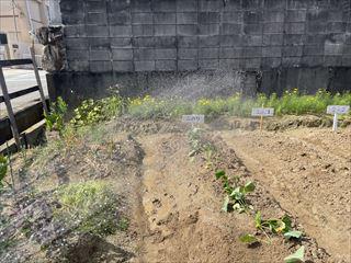 IMG_4275_R.jpg