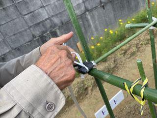IMG_4276_R.jpg