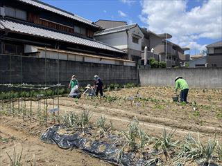 IMG_4298_R.jpg