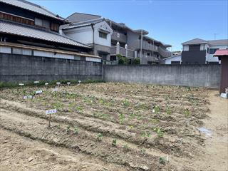 IMG_4300_R.jpg