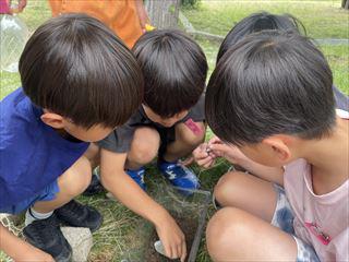 IMG_4378_R.jpg