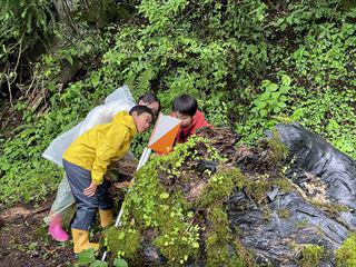 IMG_4454_R.jpg