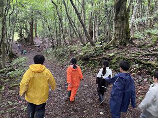 IMG_4465_R.jpg