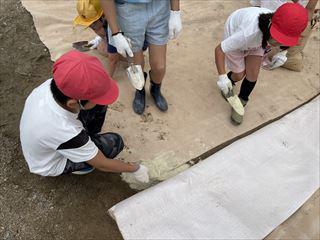IMG_5153_R.jpg