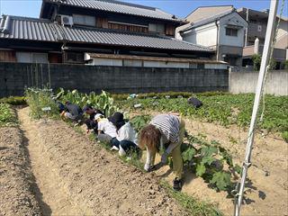 IMG_5649_R.jpg