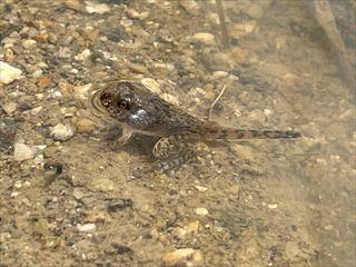 IMG_5830_R.jpg