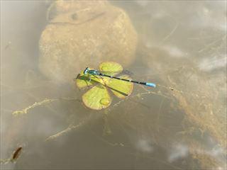 IMG_5864_R.jpg