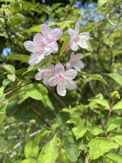 IMG_4647_R.jpg