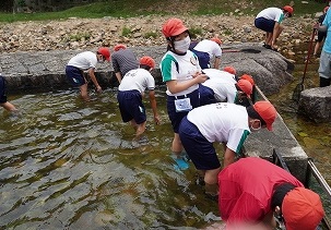 0916-13.jpg