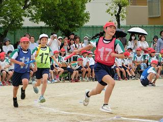 CIMG9170.jpg