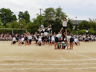 CIMG9248.jpg
