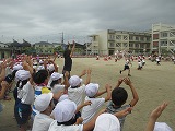 IMG_3773.jpg