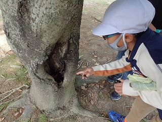 PB053858.jpg