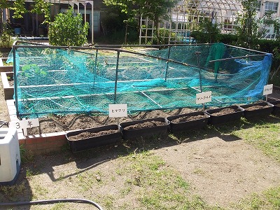 DSCF8835.jpg