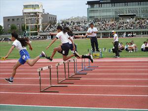 IMG_5180_R.JPG
