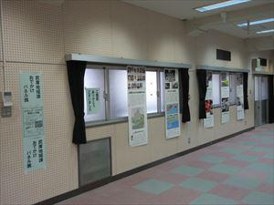 IMG_7583_R.JPG