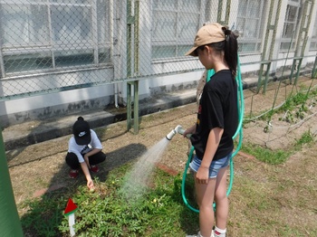 DSCF5454_LI.jpg