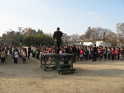 2612254.jpg